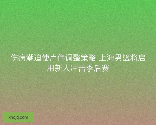伤病潮迫使卢伟调整策略 上海男篮将启用新人冲击季后赛